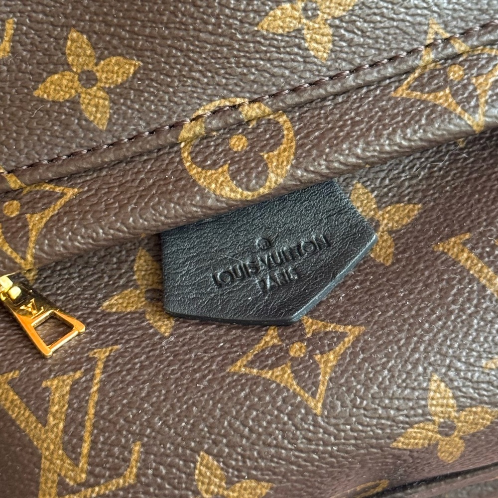 Louis Vuitton Palm Springs Mini - Picture 6 of 13